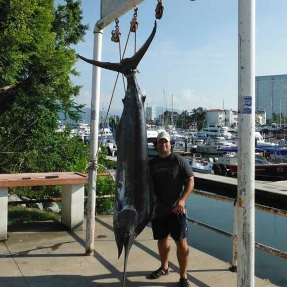 Meet your Posher, Adam - Picture 1 of 1